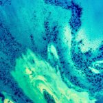 Galaxy S8 wallpapers