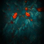 Download Huawei Mate 20 Wallpapers
