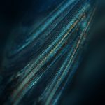 Download Huawei Mate 20 Wallpapers