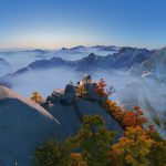 Download Huawei Mate 20 Wallpapers