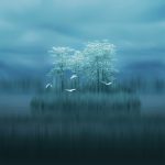 Download Huawei Mate 20 Wallpapers