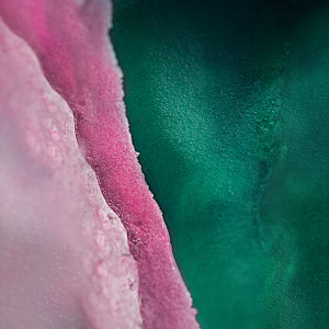 Download Galaxy S10 Wallpapers