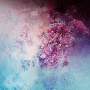 Download Galaxy S10 Wallpapers
